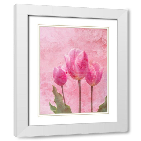 Tulip Love 1 White Modern Wood Framed Art Print with Double Matting by Lewis, Sheldon