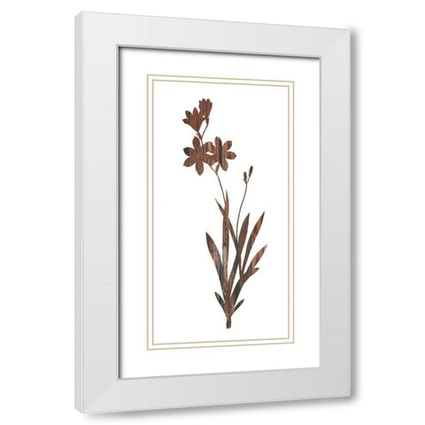 Earth Tone1 White Modern Wood Framed Art Print with Double Matting by Lewis, Sheldon