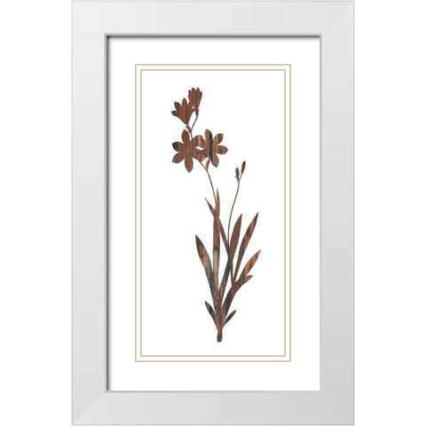 Earth Tone1 White Modern Wood Framed Art Print with Double Matting by Lewis, Sheldon