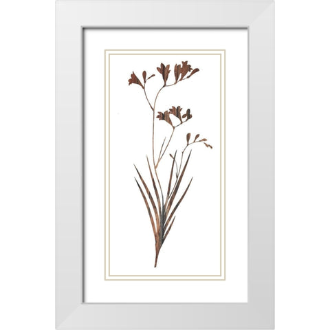 Earth Tone 2 White Modern Wood Framed Art Print with Double Matting by Lewis, Sheldon