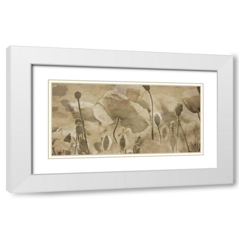 Fresh Meadow Bloom  White Modern Wood Framed Art Print with Double Matting by Lewis, Sheldon