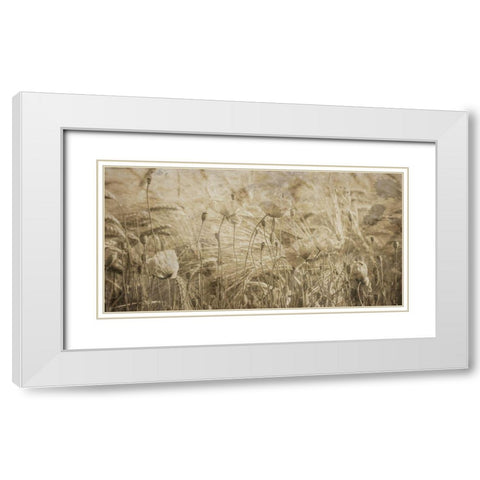 Fresh Meadow Bloom 2  White Modern Wood Framed Art Print with Double Matting by Lewis, Sheldon