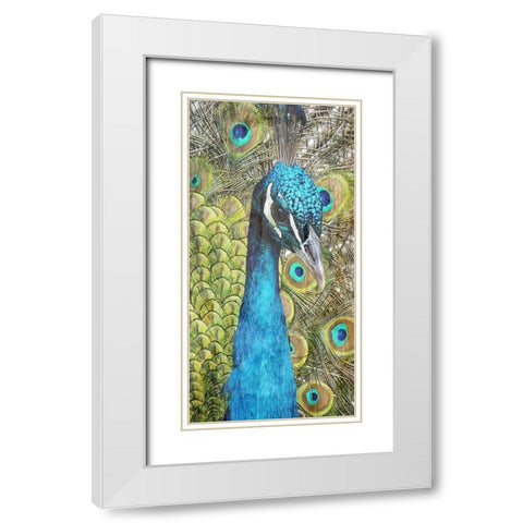 Colered Elegance 1 White Modern Wood Framed Art Print with Double Matting by Lewis, Sheldon