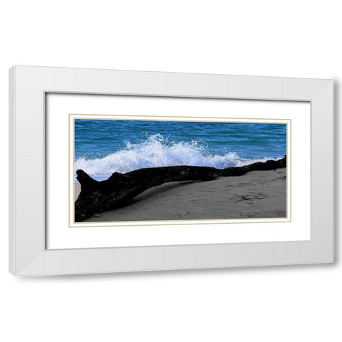 Drift Wood White Modern Wood Framed Art Print with Double Matting by Lewis, Sheldon