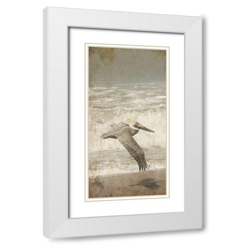 Fly By The Coast White Modern Wood Framed Art Print with Double Matting by Lewis, Sheldon