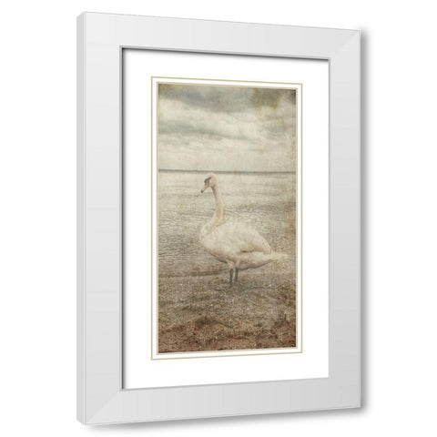 Coast Bird Watch White Modern Wood Framed Art Print with Double Matting by Lewis, Sheldon