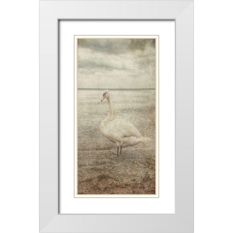 Coast Bird Watch White Modern Wood Framed Art Print with Double Matting by Lewis, Sheldon