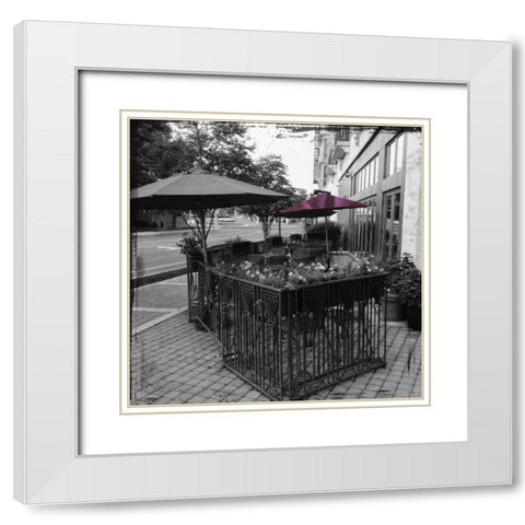 MD Purple POP White Modern Wood Framed Art Print with Double Matting by Lewis, Sheldon