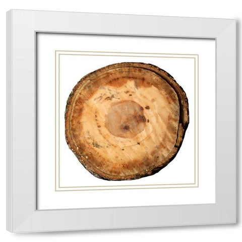 Earthy Rings Of Ages White Modern Wood Framed Art Print with Double Matting by Lewis, Sheldon