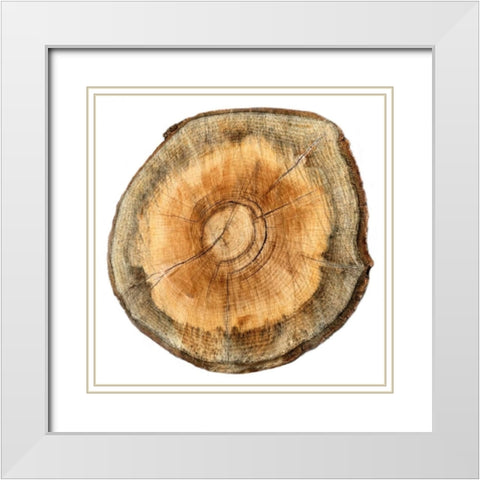 Earthy Rings Of Ages 2 White Modern Wood Framed Art Print with Double Matting by Lewis, Sheldon