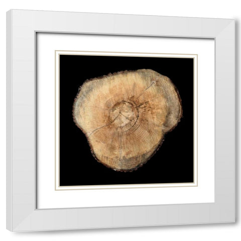 Dark Rings Of Ages 3 White Modern Wood Framed Art Print with Double Matting by Lewis, Sheldon