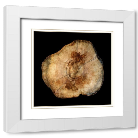 Dark Rings Of Ages 4 White Modern Wood Framed Art Print with Double Matting by Lewis, Sheldon