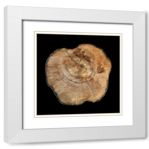 Dark Rings Of Ages 5 White Modern Wood Framed Art Print with Double Matting by Lewis, Sheldon