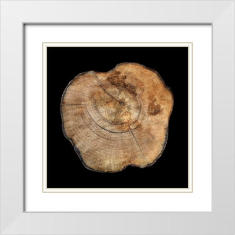 Dark Rings Of Ages 5 White Modern Wood Framed Art Print with Double Matting by Lewis, Sheldon