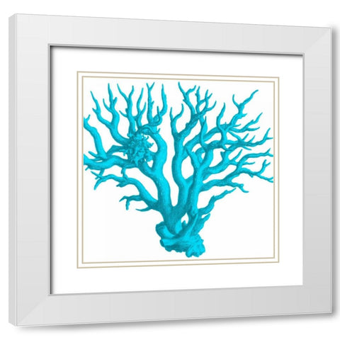 Blue Coral 3 White Modern Wood Framed Art Print with Double Matting by Lewis, Sheldon