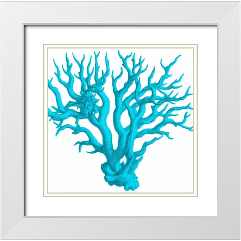 Blue Coral 3 White Modern Wood Framed Art Print with Double Matting by Lewis, Sheldon