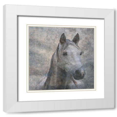 Wild River White Modern Wood Framed Art Print with Double Matting by Lewis, Sheldon