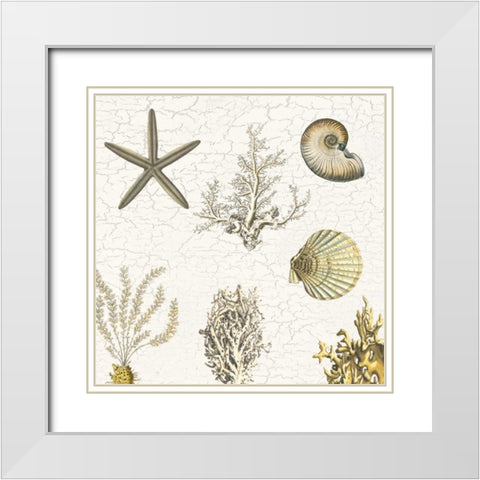 Coastal Pride White Modern Wood Framed Art Print with Double Matting by Lewis, Sheldon