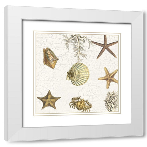 Coastal Joy White Modern Wood Framed Art Print with Double Matting by Lewis, Sheldon