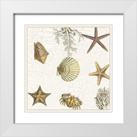 Coastal Joy White Modern Wood Framed Art Print with Double Matting by Lewis, Sheldon