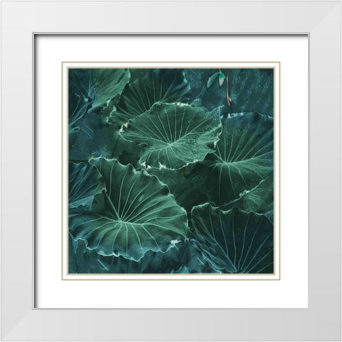 Mello Tropical White Modern Wood Framed Art Print with Double Matting by Lewis, Sheldon
