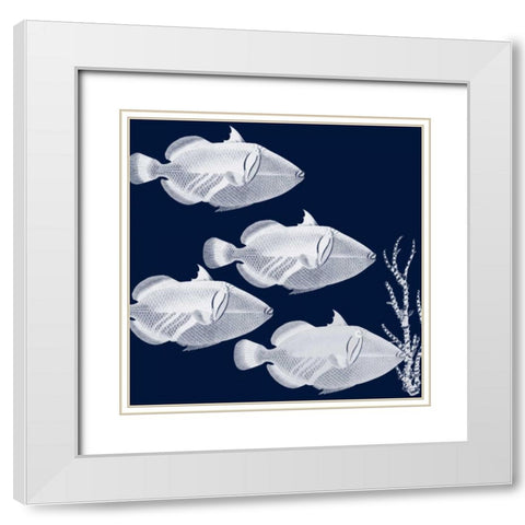 Coastal Orchestra White Modern Wood Framed Art Print with Double Matting by Lewis, Sheldon