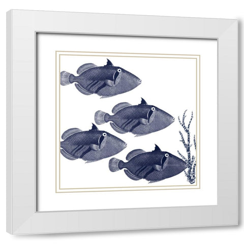 Coastal Orchestra White Modern Wood Framed Art Print with Double Matting by Lewis, Sheldon