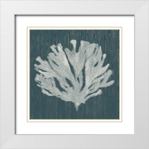 Pure Coastal White Modern Wood Framed Art Print with Double Matting by Lewis, Sheldon