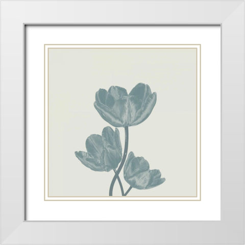 Pure 1 White Modern Wood Framed Art Print with Double Matting by Lewis, Sheldon