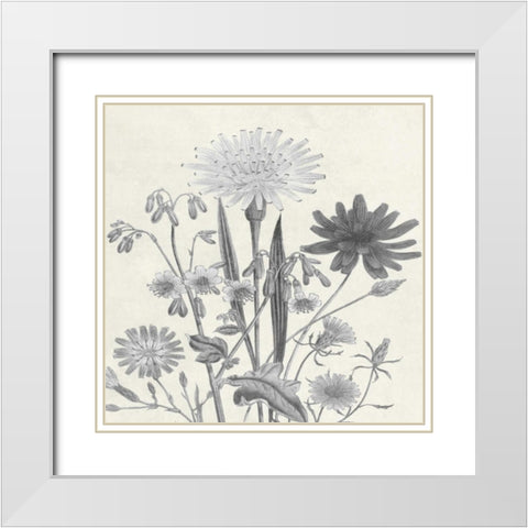 Terrarium Flower White Modern Wood Framed Art Print with Double Matting by Lewis, Sheldon