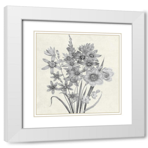 Terrarium Floral White Modern Wood Framed Art Print with Double Matting by Lewis, Sheldon