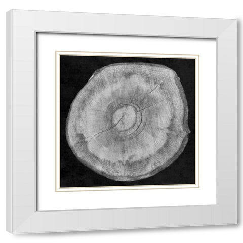 Terrarium Plank White Modern Wood Framed Art Print with Double Matting by Lewis, Sheldon