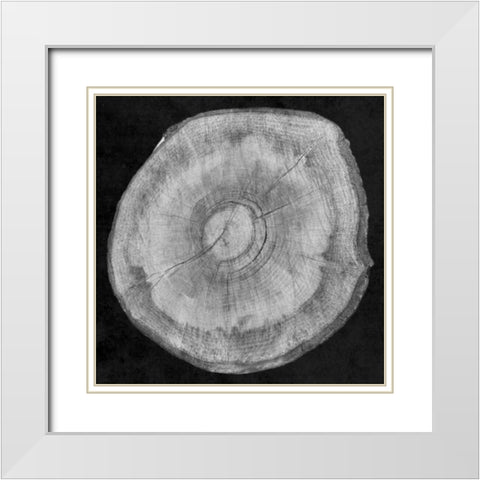 Terrarium Plank White Modern Wood Framed Art Print with Double Matting by Lewis, Sheldon