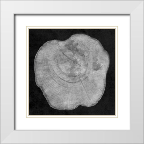 Terrarium Plank 2 White Modern Wood Framed Art Print with Double Matting by Lewis, Sheldon