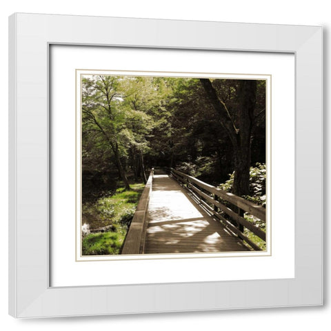 Sepia and Green 1 White Modern Wood Framed Art Print with Double Matting by Lewis, Sheldon