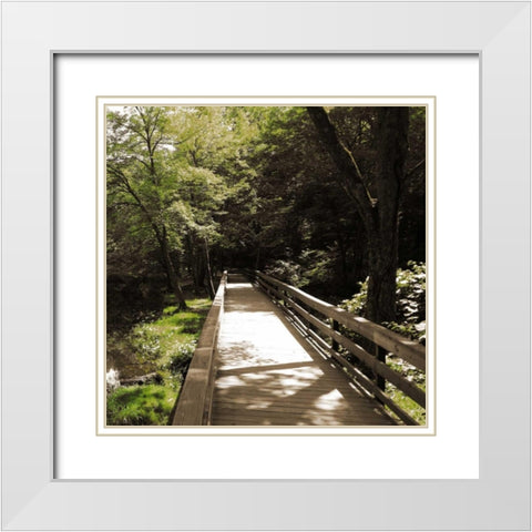 Sepia and Green 1 White Modern Wood Framed Art Print with Double Matting by Lewis, Sheldon