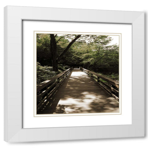 Sepia and Green 2 White Modern Wood Framed Art Print with Double Matting by Lewis, Sheldon