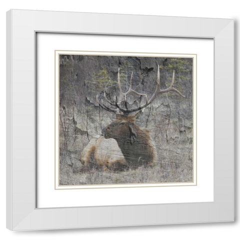 Out In The Wall White Modern Wood Framed Art Print with Double Matting by Lewis, Sheldon