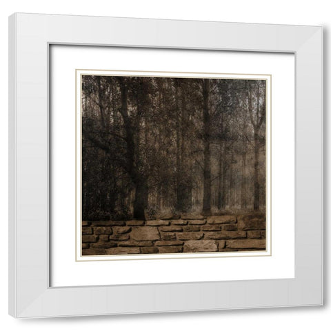 Stone Wall Landscape White Modern Wood Framed Art Print with Double Matting by Lewis, Sheldon