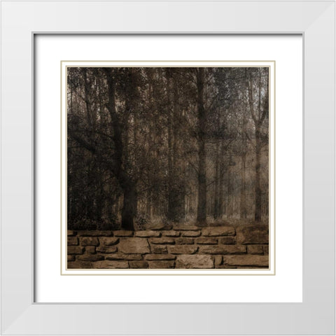 Stone Wall Landscape White Modern Wood Framed Art Print with Double Matting by Lewis, Sheldon