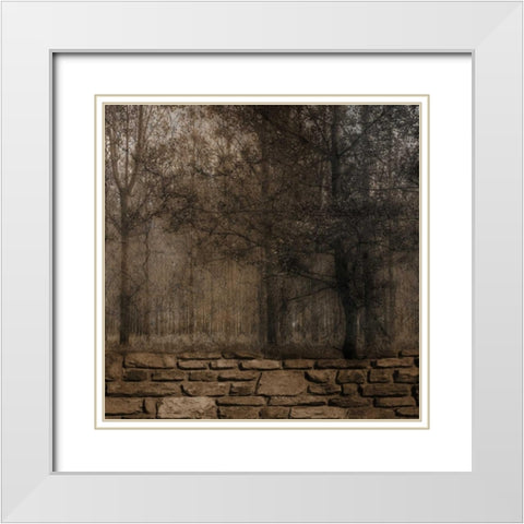 Stone Wall Landscape 2 White Modern Wood Framed Art Print with Double Matting by Lewis, Sheldon