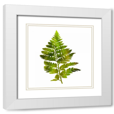 Kings Brush White Modern Wood Framed Art Print with Double Matting by Lewis, Sheldon