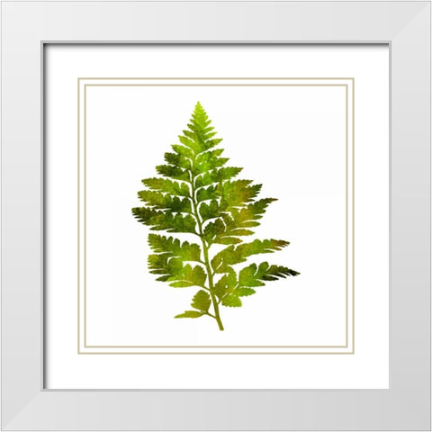 Kings Brush White Modern Wood Framed Art Print with Double Matting by Lewis, Sheldon