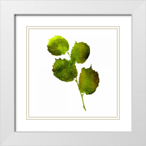 Kings Brush 4 White Modern Wood Framed Art Print with Double Matting by Lewis, Sheldon