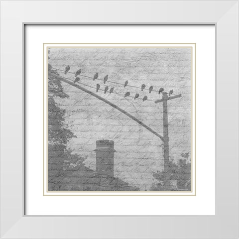 Birds In The Brooklyn Sky White Modern Wood Framed Art Print with Double Matting by Lewis, Sheldon