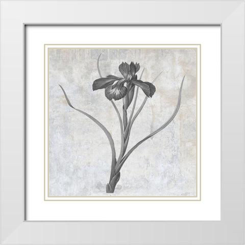 Grey Earth Balance 3 White Modern Wood Framed Art Print with Double Matting by Lewis, Sheldon