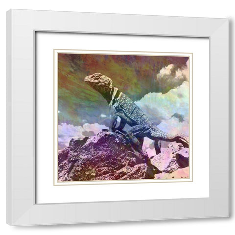 Geco King White Modern Wood Framed Art Print with Double Matting by Lewis, Sheldon