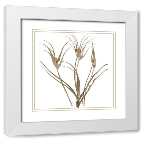 Earth Balance 1 White Modern Wood Framed Art Print with Double Matting by Lewis, Sheldon