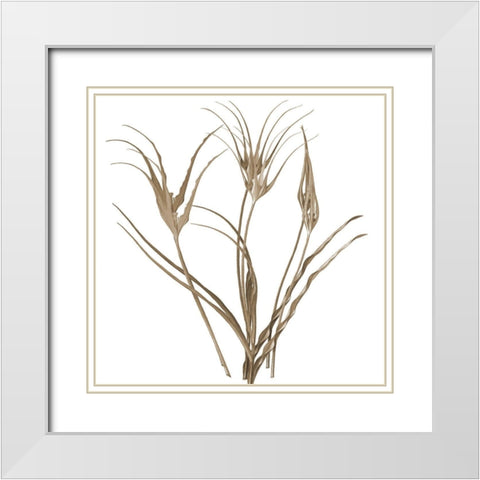 Earth Balance 1 White Modern Wood Framed Art Print with Double Matting by Lewis, Sheldon