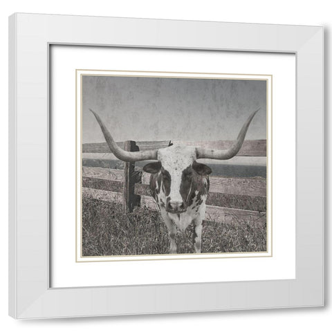 Barn Life White Modern Wood Framed Art Print with Double Matting by Lewis, Sheldon